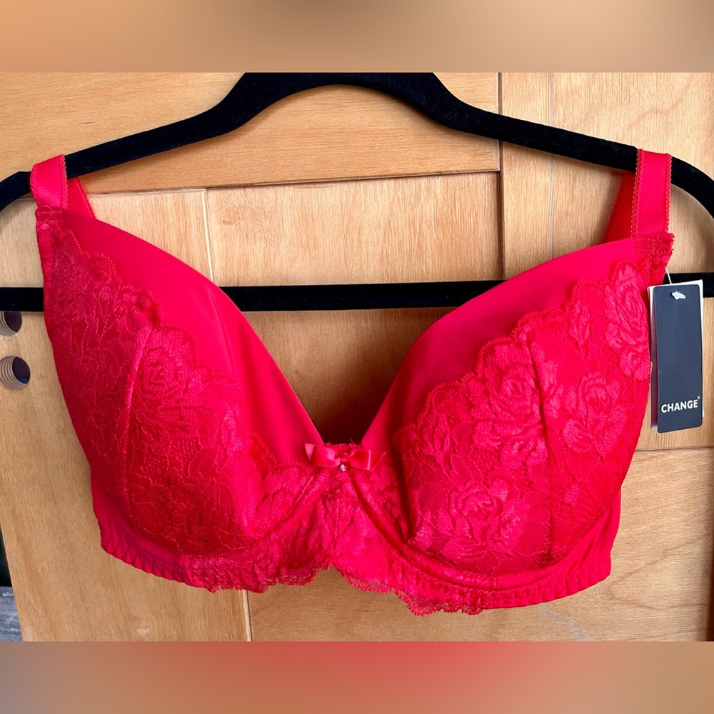 Lissi plunge bra